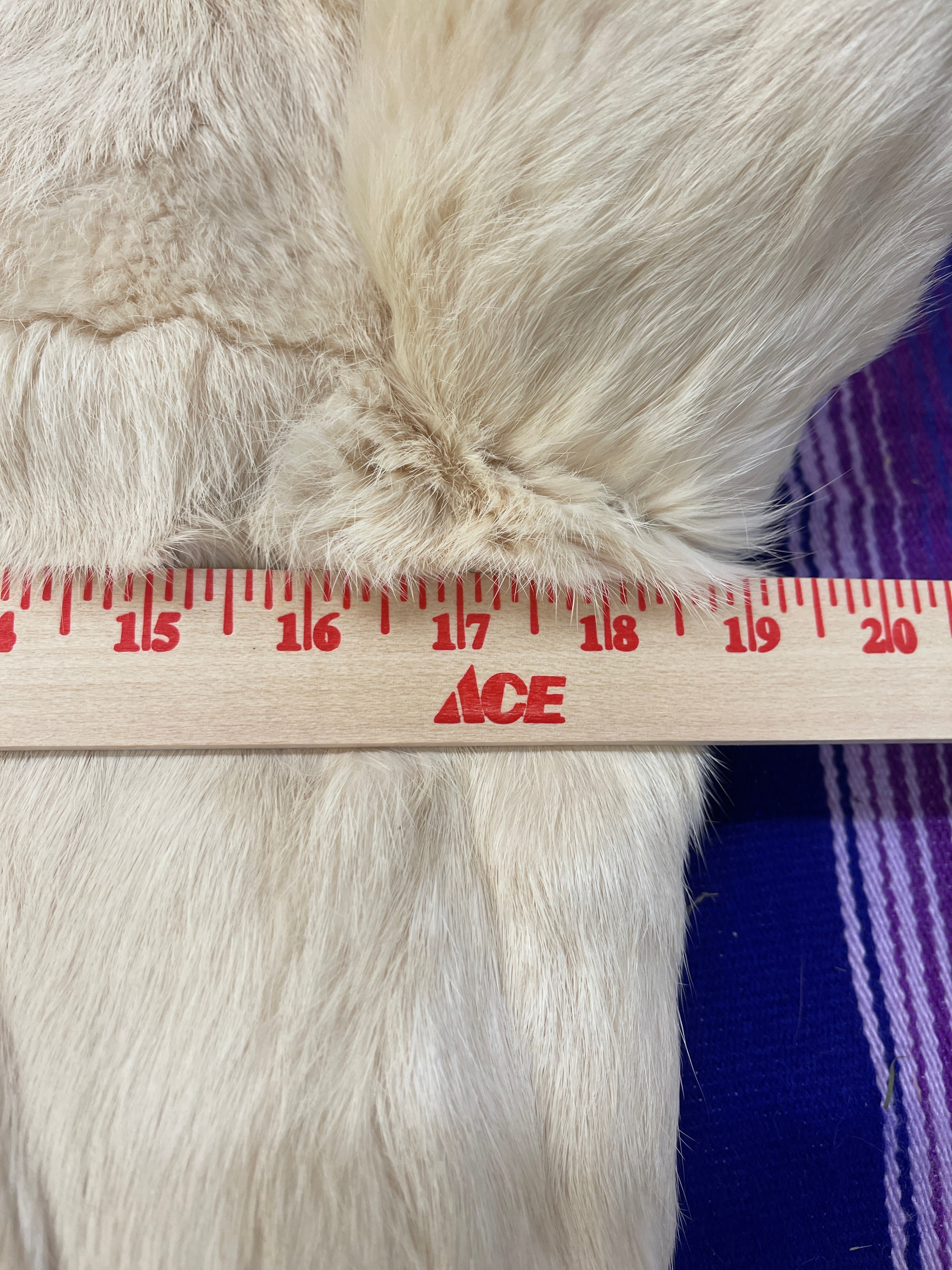 Real Coney fur bomber jacket